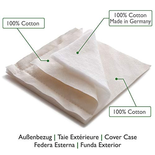 Oreiller Cervical Millet BIO Dream & Dreams, Coussin naturel 30 x 40 cm