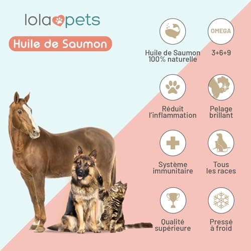 Huile de Saumon pour Chien et Chat 1 Litre - Saumon de NORVÈGE 100% Naturelle - Pressé à Froid - Riche en Omega 3+6+9 et Vitamine E | Pratique doseur (Rouge)