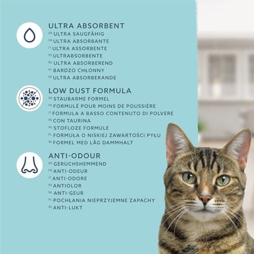 by Amazon Litière agglomérante Ultra Blanche pour Chat, 10 L