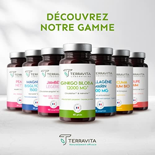 GINKGO BILOBA 12000 mg | Extrait 50:1 Hautement Dosé 6000 mg par Gélule | Booster Mémoire - Concentration - Acouphènes - Circulation Sanguine | 60 Gélules Vegan | Made in France | Terravita