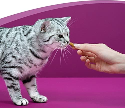 WHISKAS LES IRRÉSISTIBLES – Friandises au boeuf pour chat adulte, croquantes à l'extérieur et tendres à l'intérieur – 8 boîtes de 60g - l'emballage peut varier