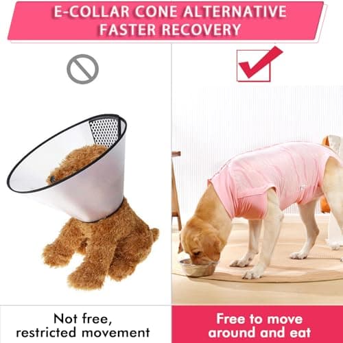 Dotoner Combinaison de Recuperation Chien Body Chien Post Operatoire Femelle Male Chirurgical Chien Body pour Chien après Stérilisation Alternative au collerette Chien Anti lechage