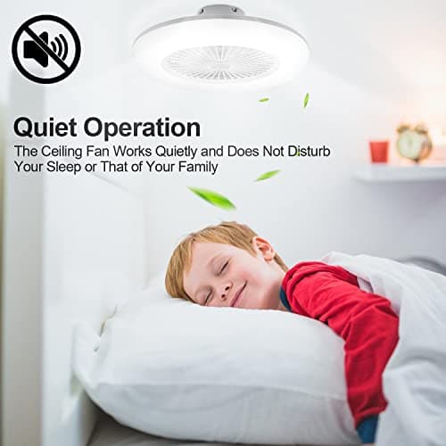 Hebitod 80W Ventilateur de plafond avec éclairage, LED Fan Plafonnier avec Télécommande et APP, Mode été Hiver, 6 Vitesses de Vent, Température de Couleur Réglables, Timing, Pour Salon Salle