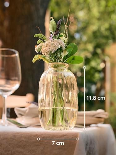 Praknu 6 Petits Vases en Verre Or – Soliflore Vintage – Vase Déco Table