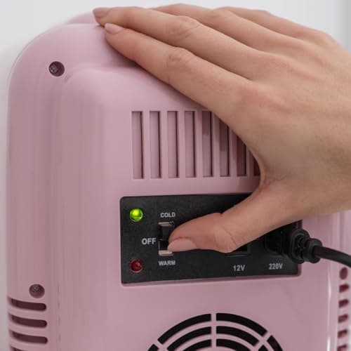 Flamingueo Mini Frigo - Petit Frigo 4L, Mini Frigo de Chambre, 12V/220V, Fonction Chaud et Froid, Mini Frigo Cosmetique, Frigo Maquillage, Mini Fridge