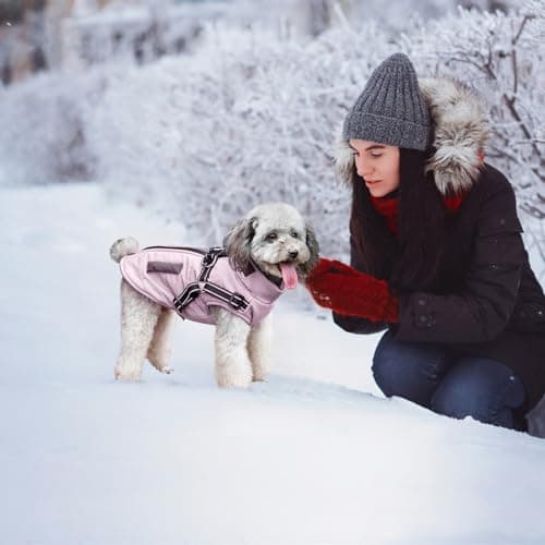 Oslueidy Vestes d'hiver pour Chiens, Manteaux Chauds pour Chiens Vêtements réfléchissants pour Chien Gilet imperméable pour Chiot avec Harnais pour Chiens de Petite et Moyenne Taille (Violet, XXL)