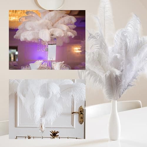 12Pcs Plumes d’Autruche Blanches 10-12inch(25-30cm),Naturelles Plumes d’Autruche pour l'artisanat Masque DIY Plumes pour Vase de Table Bureau Maison Anniversaire Mariage Fête Décoration