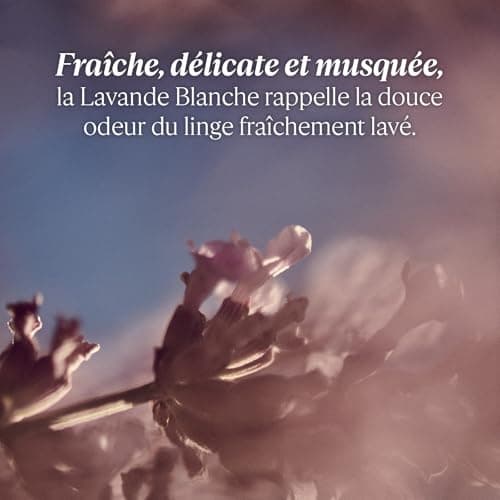 L'OCCITANE - Eau de Toilette Lavande Blanche - 50 ml - Fabriqué en France