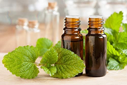 MÉLISSE bio française 100ml | Solution buvable de plantes fraîches | Digestion | Origine France certifiée | Certifié AB | Laboratoire SYNERGIA