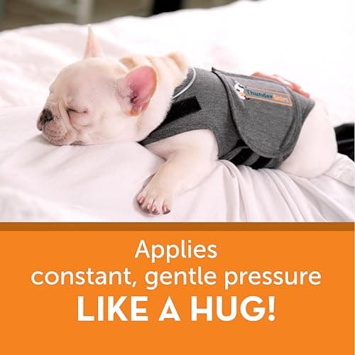 Gilet anti-stress, gilet relaxant chien,Thundershirt, stress chien, anti-stress naturel