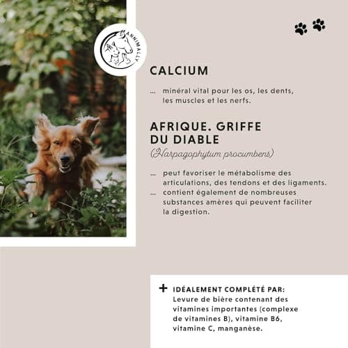 Complément Articulation pour Chien - Anti arthrose Chien Senior - avec glucosamine chondroïtine Chien - 120 comprimés pour Articulation Chien et - Anti inflammatoire Chien