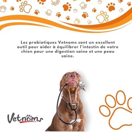 Vetnoms Probiotique Chien en Poudre - Complement Alimentaire Chien avec Levure de Bière Chien pour Un Usage Régulier. Soulage la Diarrhée chez Le Chien, la Dermatite chez Le Chien.