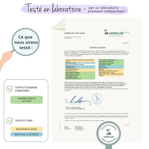 BCAA 2.1.1 | Dosage Elevé : 3000 mg | 8 Acides Aminés Essentiels (EAA) + Histidine | 100% NATUREL | Récupération + Développement Musculaire | Sans Additifs & Vegan | 300 Comprimés | Vegavero®