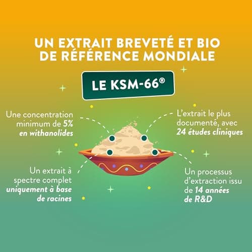 NUTRI & CO Ashwagandha BIO KSM-66® - Dosage Clinique 600mg - Extrat Fort 5% Withanolides - 120 gélules Vegan - Anti Stress Naturel - Aide Sommeil & Musculation - Extrait 100% Pur - Fabriqué en France