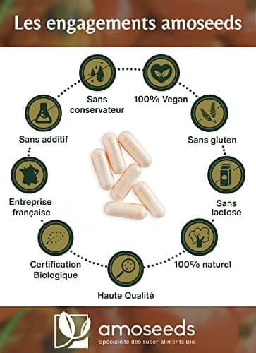 Cynorrhodon BIO | Hautement Dosé : 15 000mg / jour (10:1) | Confort Articulaire, Immunité | 90 gélules de 500mg | Riche en Vitamine C | Qualité Supérieure