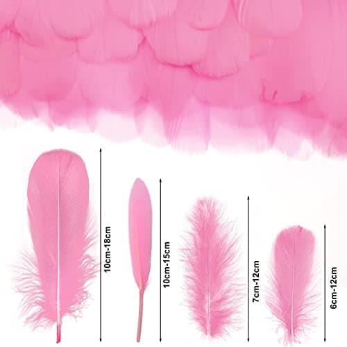 MWOOT 4 Styles de Plumes d'artisanat Assorties (Rose)