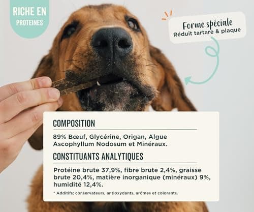 Wolf Belly - Friandises pour Chien Naturel (28 unités) 89% Bœuf et Origan sans Céréales | Hygiène Bucco-Dentaire & Haleine Fraîche | Stick Chien Riche en Protéines | Goût Irrésistible