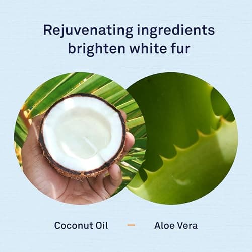 Petpost | Shampooing blanchissant pour Chiens - Le Meilleur Traitement blanchissant pour Chien à Fourrure Blanche - parfumpastèque - pour Maltais, Shih Tzu, Bichon Frise - 474 ML