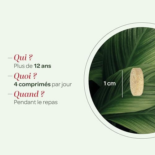 SUPERDIET - RADIS NOIR ARTICHAUT BIO – Bien-être du foie – Phytothérapie – Fabrication française – 80 comprimés
