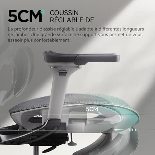 Hbada E3 Pro Chaise de Bureau Ergonomique, Fauteuil de Bureau avec Repose Pieds - avec Support Lombaire Dynamique à 3 Zones, Appui-tête Réglable en 4D, Accoudoirs Réglables en 6D, Gris
