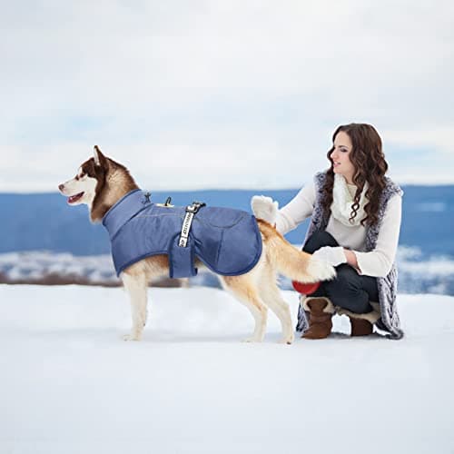Dolahovy Veste d'hiver pour Chien Manteau Chaud pour Chien Vêtements pour Chiens Ajustables Gilet réfléchissant pour Animaux avec Anneau en D pour Chiens Moyens Grands Extérieur (4XL, Bleu Marine)