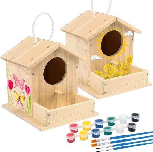 LotFancy 2 Pièce Maison D'oiseau Bricolage Kit pour Enfant, Construire Maison Oiseau en Bois Kit de Loisir Creatif Activites manuelles Maison D'oiseau Peindre Jouet