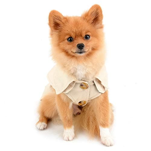 PAIDEFUL Trench pour petits chiens fille garçon coupe-vent mode western veste avec ceinture vêtements d'extérieur automne hiver chien vêtements pour chiot chihuahua yorkie, kaki, taille S