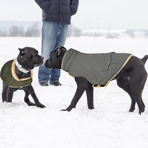 CITÉTOILE Manteau de Chien Coupe - Vent, Manteau Chien Fourré Polaire Epaiss, Manteau Veste d’Hiver Chien Chaud, Vêtement pour Chiens avec Trou de Corde de Traction, Vert, XS