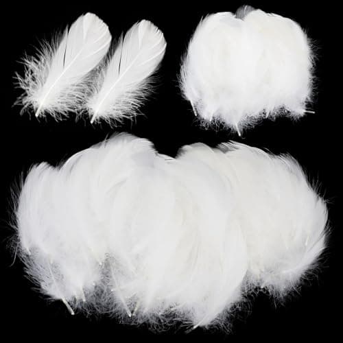 Paquet De 600 Plumes Blanches Artisanales, Plumes Pour Travaux Manuels, Plumes D'Oie Naturelles, Pour Attrape-RêVes, Mariages Et Projets D'Artisanat, Costumes, Sacs, DéCoration De Boucles D'Oreilles
