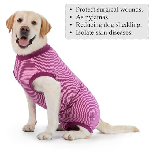 Cyponpy Combinaison Chien avec Fermeture éclair Body Chien Post Operatoire Femelle Male Body pour Chien Après Opération Body Stérilisation Chien Alternative au Collerette Chien Operation Castration