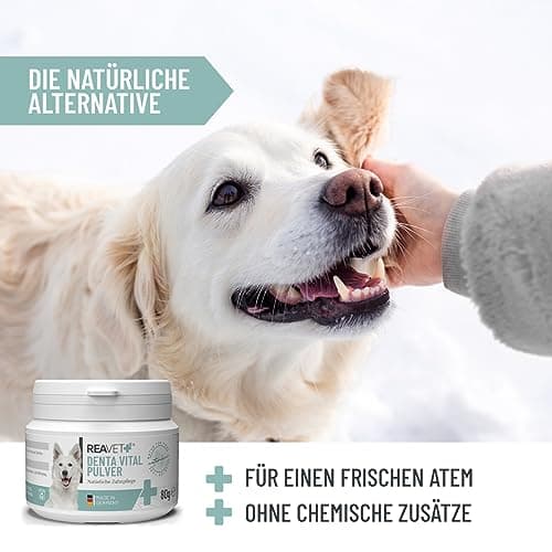 ReaVET DentaVital Soin Dentaire Chien & Chat 80g - détartrant Chien, remède Contre Le tartre Chien, Mauvaise haleine Chien Chat, Contre la Mauvaise haleine chez Le Chien