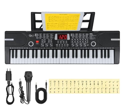 Hricane Clavier électronique 61 touches pour enfants, l'instrument de piano électronique portable pour débutant avec microphone, pupitre, autocollant (noir)
