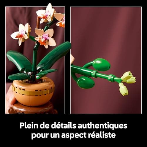 LEGO Botanique L’orchidée Miniature - Fleurs artificielles pour Adulte - Plante d'intérieur avec Pot Style Terracotta - Décoration intérieure - Idée Cadeau pour la St Valentin, Femme ou Homme 10343