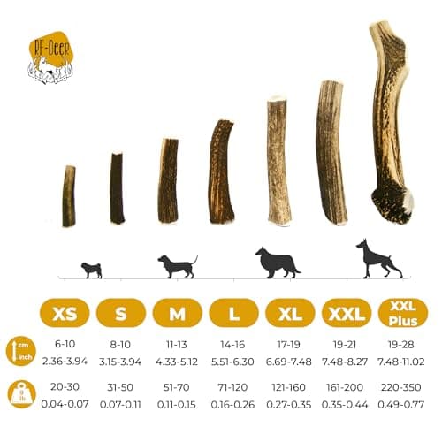 RF - Deer Bois de Cerf élaphe M (Lot de 5), Hard, 100% Naturel Bâtonnets Jouets à mâcher naturels pour Chien, Mâcher des os pour Le Plaisir et Les Soins dentaires, favorisant l'hygiène Dentaire