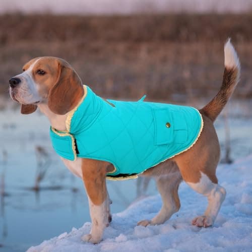 CITÉTOILE Manteau de Chien Coupe - Vent, Manteau Chien Fourré Polaire Epaiss, Manteau Veste d’Hiver Chien Chaud, Vêtement pour Chiens avec Trou de Corde de Traction, Bleu Clair, XS