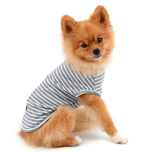 PAIDEFUL Vêtements pour Petits Chiens Garçon Fille été rayé Chiot t-Shirt Gilet Respirant Coton t-Shirt sans Manches Chihuahua Yorkshire Gris XXL
