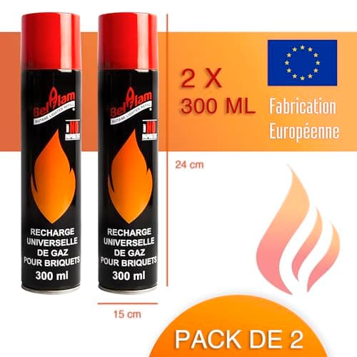 Lot 2 recharges de gaz 300 ml pour briquets et chalumeau de cuisine