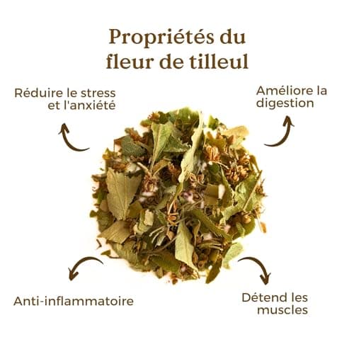 TILLEUL TISANE BIO 100g (50 Tasses) | Infusion Tilleul, Tisane Fleurs Tilleul, Lime Blossoms Tea | Tilia Cordata REPLANTEA