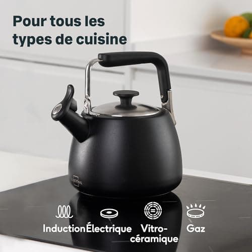 SILBERTHAL Bouilloire à induction 2,8l - Bouilloire en acier inoxydable - Bouilloire pour le camping - Bouilloire à flûte noire - Bouilloire sifflet Nouvelle version 2024