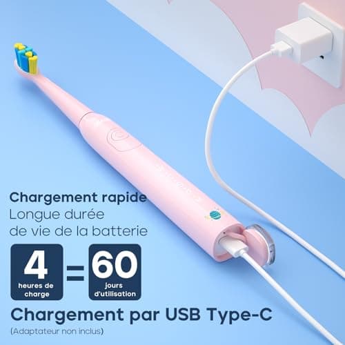 Seago brosse à dents électrique rechargeable pour enfants, brosse à dents électrique enfant avec autocollants DIY drôles, minuterie de 2 minutes, 4 têtes de brosse SG2303(rosa)