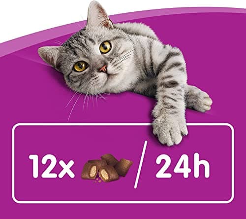 WHISKAS LES IRRÉSISTIBLES – Friandises au boeuf pour chat adulte, croquantes à l'extérieur et tendres à l'intérieur – 8 boîtes de 60g - l'emballage peut varier
