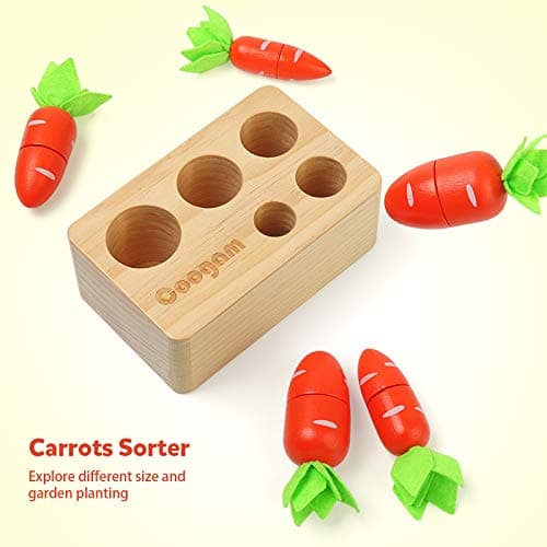 Coogam Jouet de tri de Carotte en Bois, trieur de Forme de Couleur Montessori Jeu d'association de récolte de Coupe pour la compétence motrice Fine des Tout-Petits, Apprentissage préscolaire éducatif