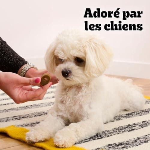 Pedigree Multivitamines Digestion Compléments Alimentaires pour Chiens - Friandises avec probiotiques, Sachet de 36x180g, Récompenses Qui aident au Maintien d'une Bonne Digestion, Facile à Manger