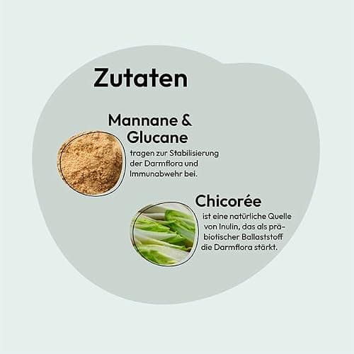 GRAU L’original Croquettes Pour Chats/chatons, Volaille Avec Super Aliments, Lot De 1 (1 x 2 kg), Sans Gluten, Pour Chatons