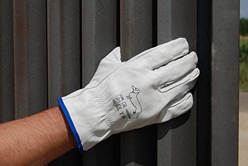 Ruvigrab - Pack de 12 Gants de Travail en Cuir de Fleur Naturelle | Gants de Jardinage | Taille 8