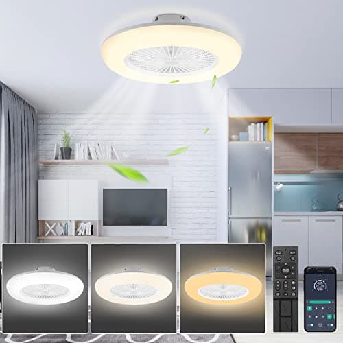 Hebitod 80W Ventilateur de plafond avec éclairage, LED Fan Plafonnier avec Télécommande et APP, Mode été Hiver, 6 Vitesses de Vent, Température de Couleur Réglables, Timing, Pour Salon Salle