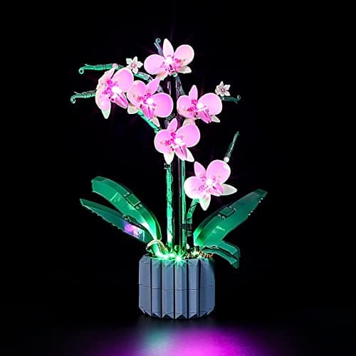 YEABRICKS LED Lumière pour Lego-10311 Creator Orchid Modèle de Blocs de Construction (Ensemble Lego Non Inclus)