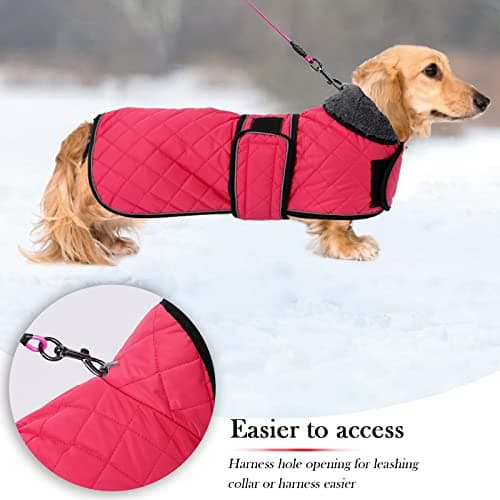 Geyecete-Manteau Chaud imperméable pour Teckel, Manteau d'hiver pour Chien avec Doublure en Polaire Chaude et Bandes réglables,l'hiver Veste pour Petit et Moyen Chien-Rose-S