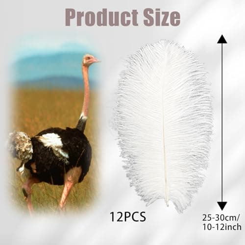 12Pcs Plumes d’Autruche Blanches 10-12inch(25-30cm),Naturelles Plumes d’Autruche pour l'artisanat Masque DIY Plumes pour Vase de Table Bureau Maison Anniversaire Mariage Fête Décoration