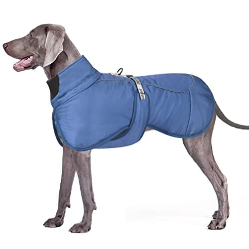 Dolahovy Veste d'hiver pour Chien Manteau Chaud pour Chien Vêtements pour Chiens Ajustables Gilet réfléchissant pour Animaux avec Anneau en D pour Chiens Moyens Grands Extérieur (4XL, Bleu Marine)